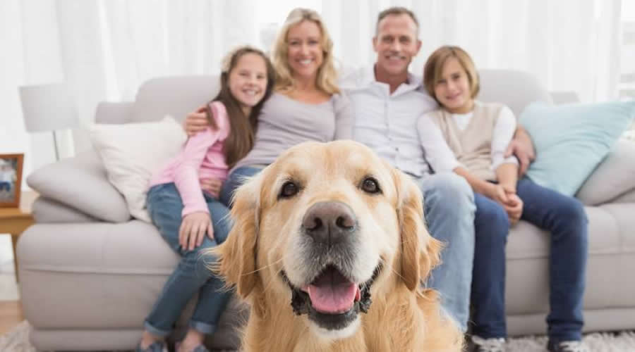Family Sitting Together On Sofa With Dog In Foreground, breathing good indoor air