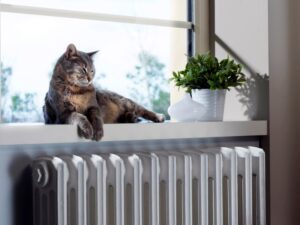pets affect indoor air quality
